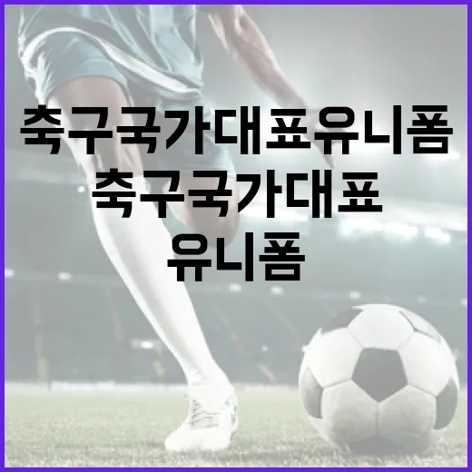 축구 국가대표 유니폼 선택하는 방법 - 요약