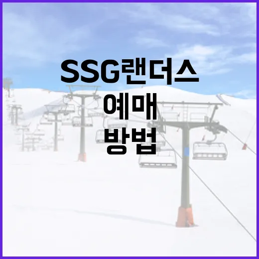 SSG 랜더스 경기 티켓 예매하는 방법 - 요약