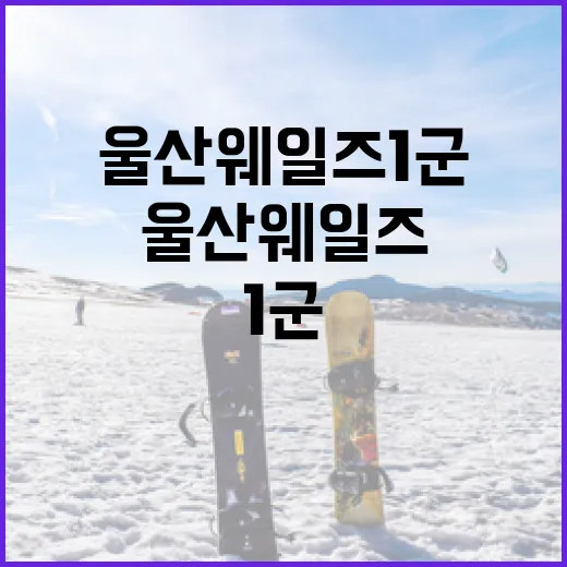 울산 웨일즈 1군에 대해 알아야 할 모든 것 - 요약
