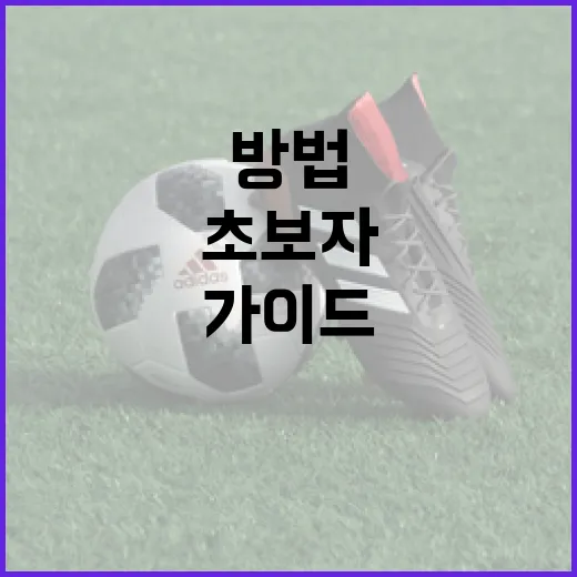 아야카 치어리더가 되는 방법: 초보자를 위한 가이드 - 요약