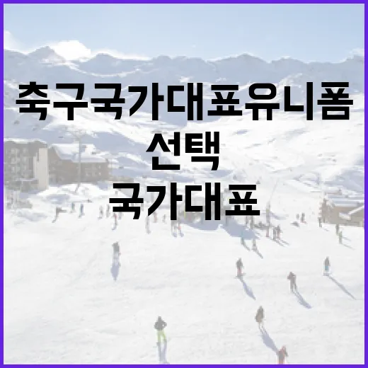 축구 국가대표 유니폼의 역사와 선택 방법 - 요약