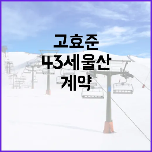 43세 울산에서 고효준과 계약을 성사시키는 방법 - 요약