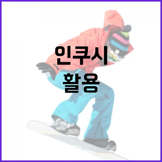 인쿠시를 이해하고 활용하는 방법 - 요약