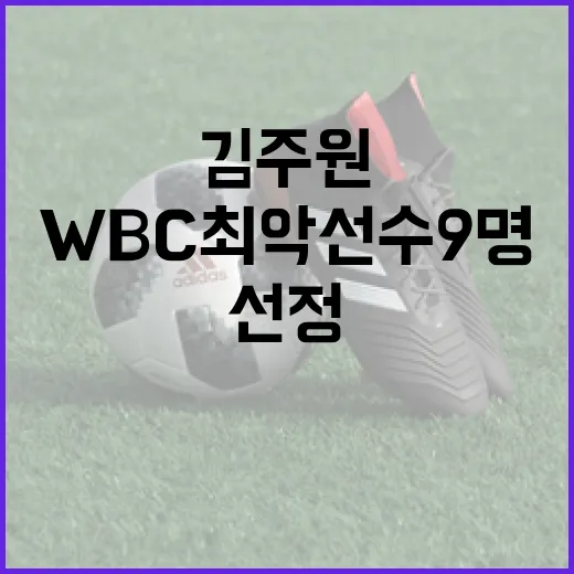 김주원이 포함된 WBC 최악 선수 9명에 선정된 이유는? - 요약