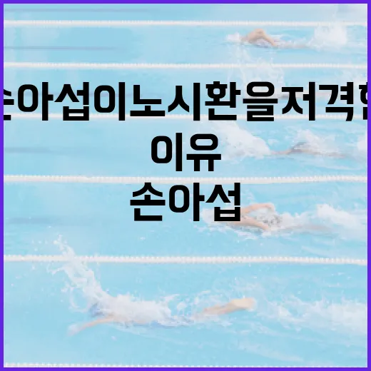 손아섭이 노시환을 저격한 이유 알아보기 - 요약