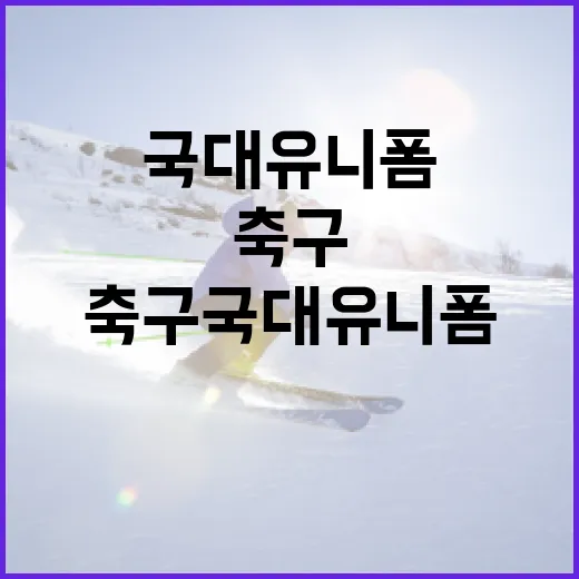 축구 국대 유니폼을 선택하는 방법 - 요약