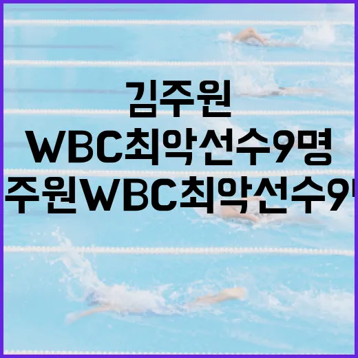김주원 WBC 최악 선수 9명에 대한 진실과 오해를 이해하는 방법 - 요약