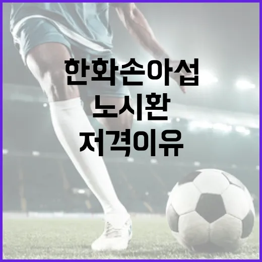 한화 손아섭과 노시환의 저격 이유를 이해하는 방법 - 요약