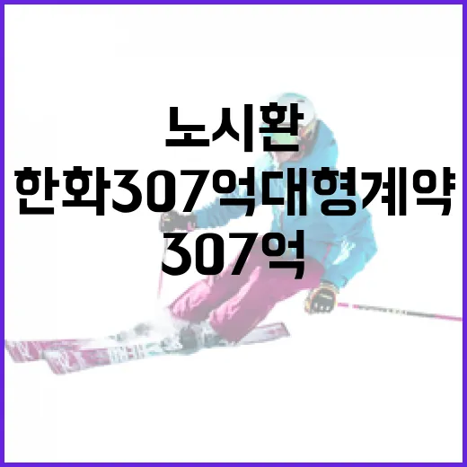 노시환과 한화 307억 대형계약의 모든 것 - 요약