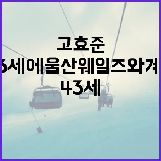 고효준, 43세에 울산 웨일즈와 계약하는 방법 - 요약
