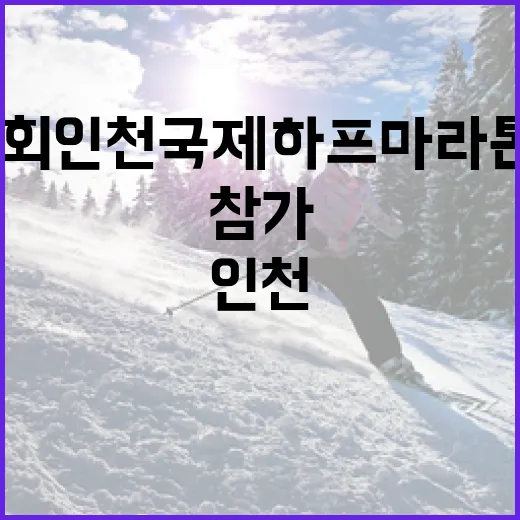 제26회 인천국제하프마라톤대회에 참가하는 방법 - 요약