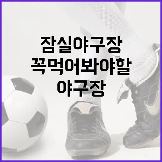 잠실야구장에서 꼭 먹어봐야 할 먹거리 가이드 - 요약