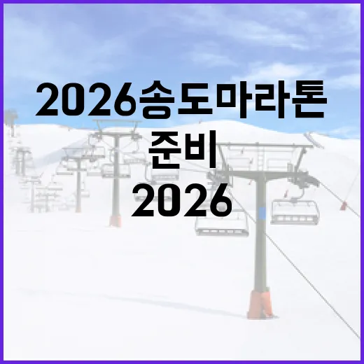 2026 송도 마라톤 성공적으로 준비하는 방법 - 요약