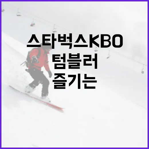 스타벅스 KBO 텀블러를 완벽히 즐기는 방법 - 요약