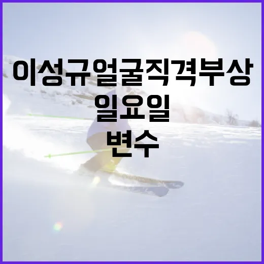 이성규 얼굴 직격 부상에 대처하는 방법: 일요일의 변수들 - 요약