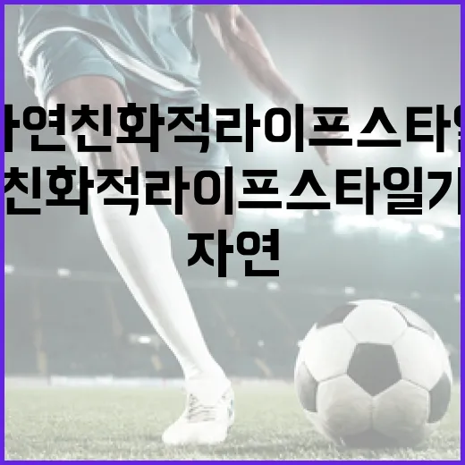 인쿠시를 사용하는 방법: 자연 친화적 라이프스타일 가이드 - 요약