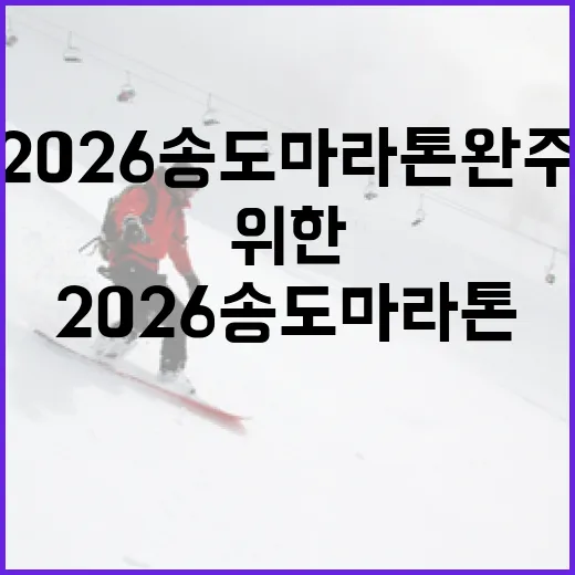 2026 송도 마라톤 완주를 위한 준비 방법 - 요약