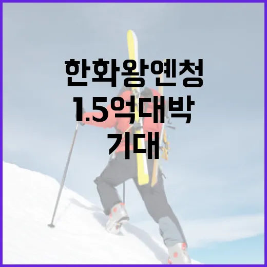 한화 왕옌청, 1.5억 대박을 기대하는 방법 - 요약