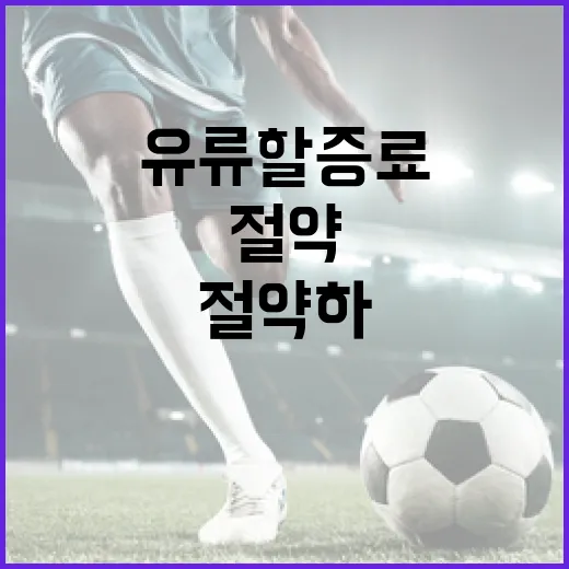 유류할증료를 이해하고 절약하는 방법 - 요약