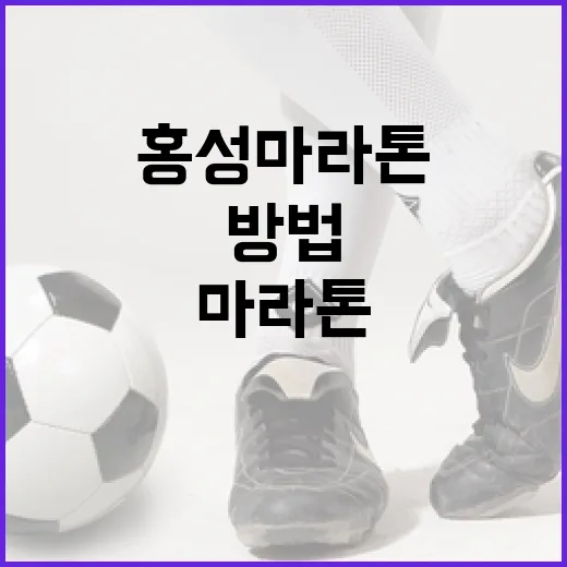 홍성마라톤을 성공적으로 준비하는 방법 - 요약