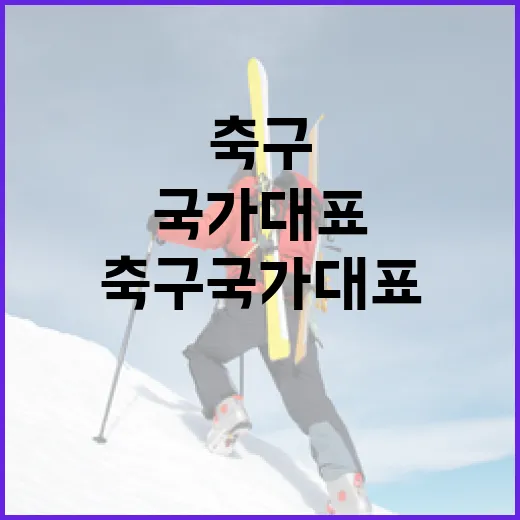 축구 국가대표로 성장하는 방법 - 요약