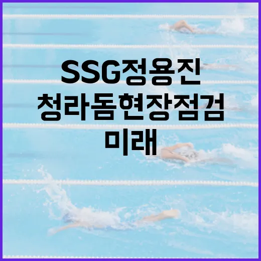 SSG 정용진의 청라돔 현장 점검을 통해 본 미래의 스포츠 복합 공간 만드는 방법 - 요약