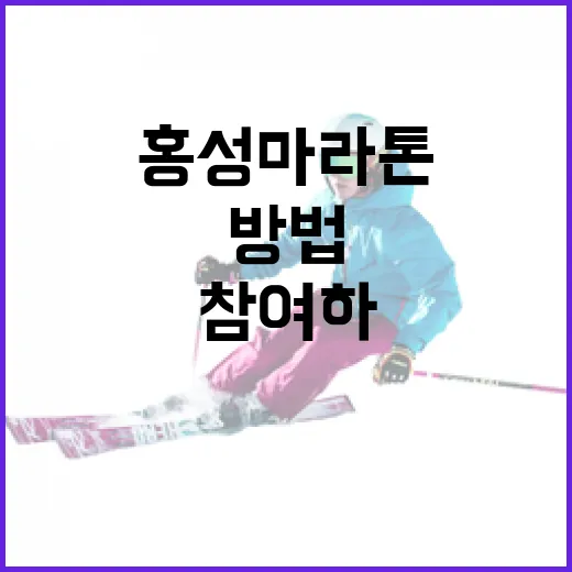 홍성마라톤에 성공적으로 참여하는 방법 - 요약