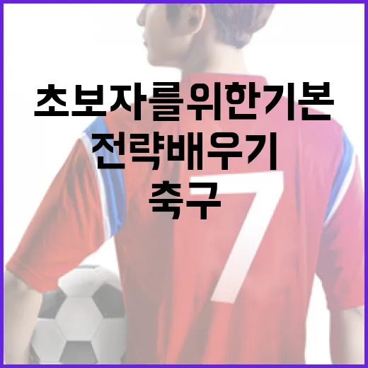 축구 초보자를 위한 기본 전략 배우기 - 요약