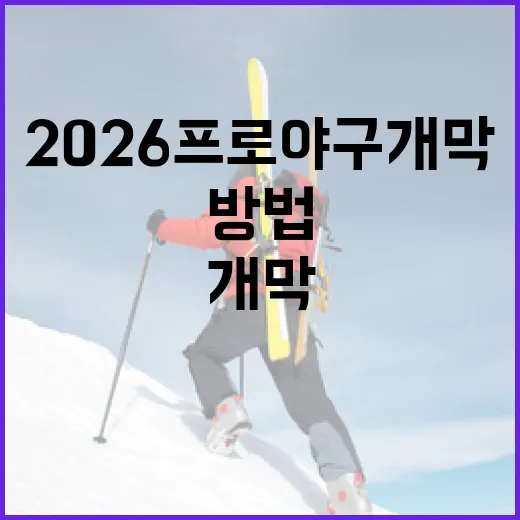 2026 프로야구 개막을 성공적으로 즐기는 방법 - 요약