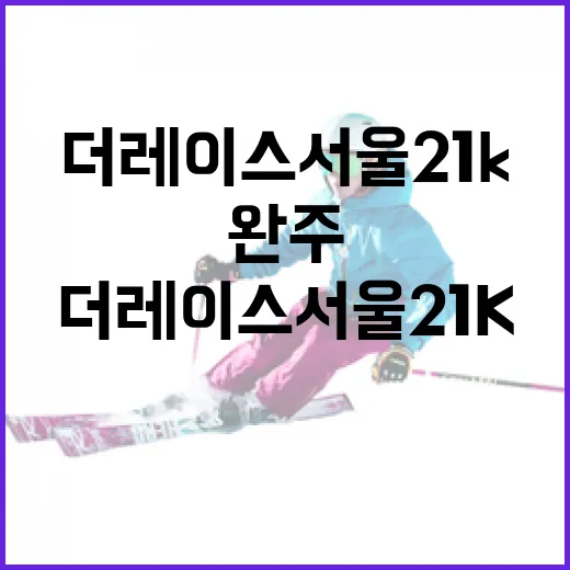더레이스서울21k 완주를 위한 준비 방법 - 요약