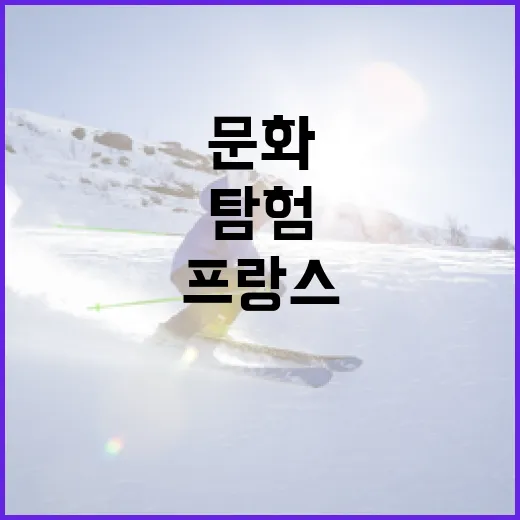 브라질과 프랑스를 여행하는 방법: 문화와 매력을 탐험하기 - 요약