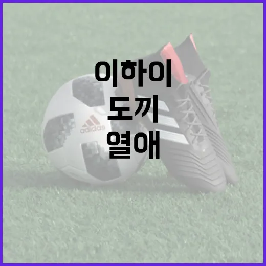 이하이와 도끼의 열애를 인정하는 방법 - 요약