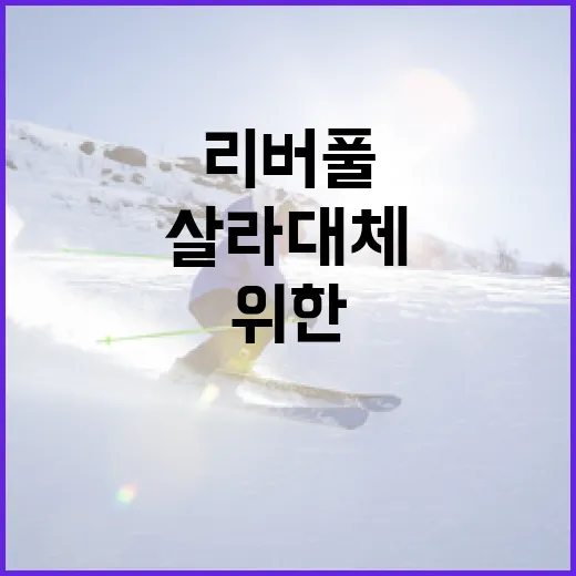 리버풀을 위한 살라 대체 후보 7인을 알아보는 방법 - 요약