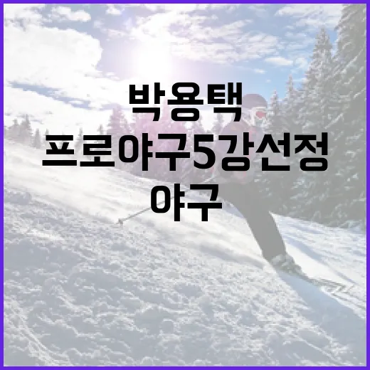 박용택 선수를 통해 보는 프로야구 5강 선정 방법 - 요약