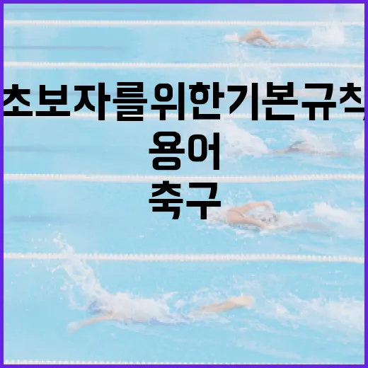 축구 초보자를 위한 기본 규칙과 용어 이해하기 - 요약