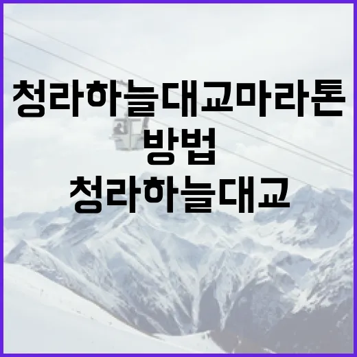 청라하늘대교 마라톤 준비하는 방법 - 요약