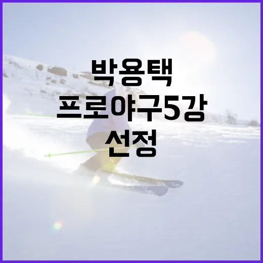 박용택이 프로야구 5강에 선정된 이유와 그의 기여 - 요약