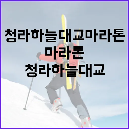 청라하늘대교 마라톤에 참여하는 방법 - 요약