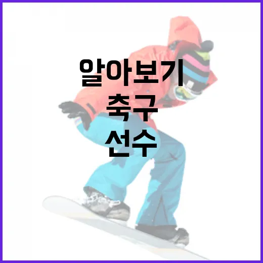 코트디부아르의 유명 축구선수 알아보기 - 요약