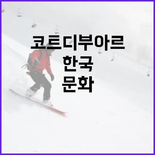 한국에서 코트디부아르 문화를 경험하는 방법 - 요약