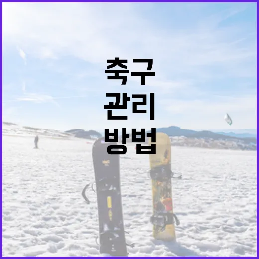 축구 일정을 효과적으로 관리하는 방법 - 요약