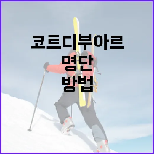 코트디부아르 명단을 이해하는 방법 - 요약