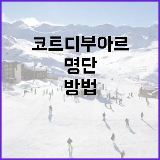 코트디부아르 명단을 통해 알아보는 아프리카 여행 준비 방법 - 요약