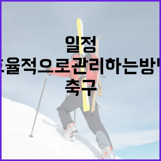 축구 일정을 효율적으로 관리하는 방법 - 요약