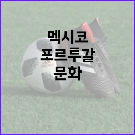멕시코와 포르투갈 문화를 이해하는 방법 - 요약