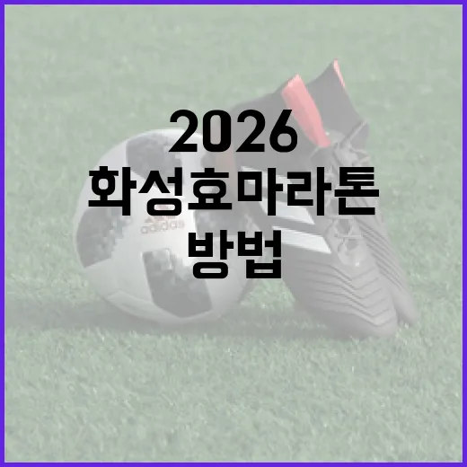 화성효마라톤 2026에 참여하는 방법 - 요약