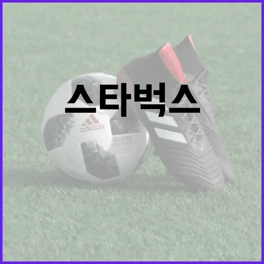 스타벅스에서 KBO 경기를 즐기는 방법 - 요약