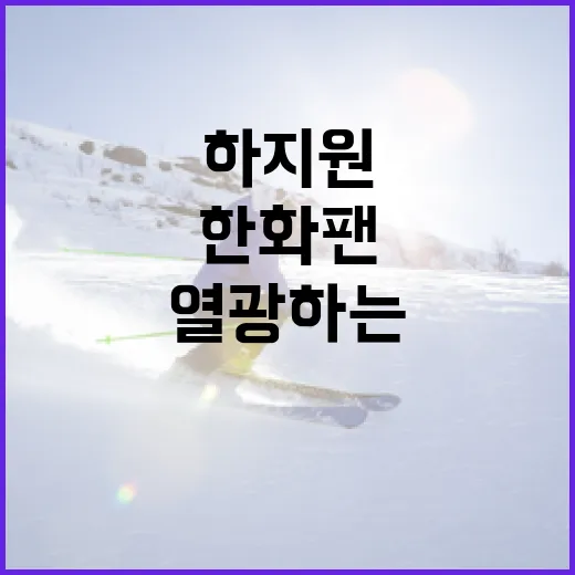 하지원에게 한화팬들이 열광하는 이유 - 요약