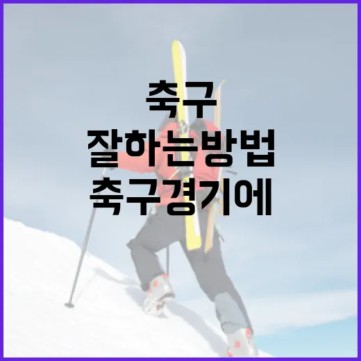 축구 경기에서 더 잘하는 방법 - 요약