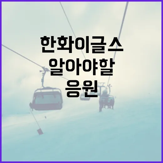 한화이글스를 응원하는 방법: 팬이 알아야 할 모든 것 - 요약